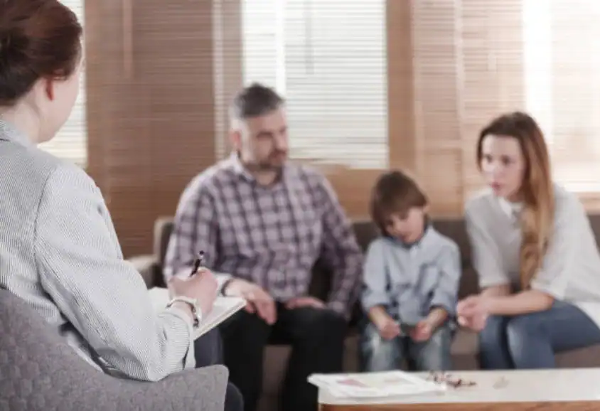 Child Custody and Relocation in International Family Disputes Lewes